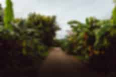 Kanchanaburi Tour Packages