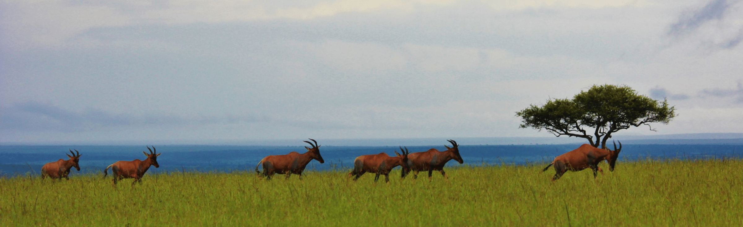 South Africa Tour Packages from Srinagar