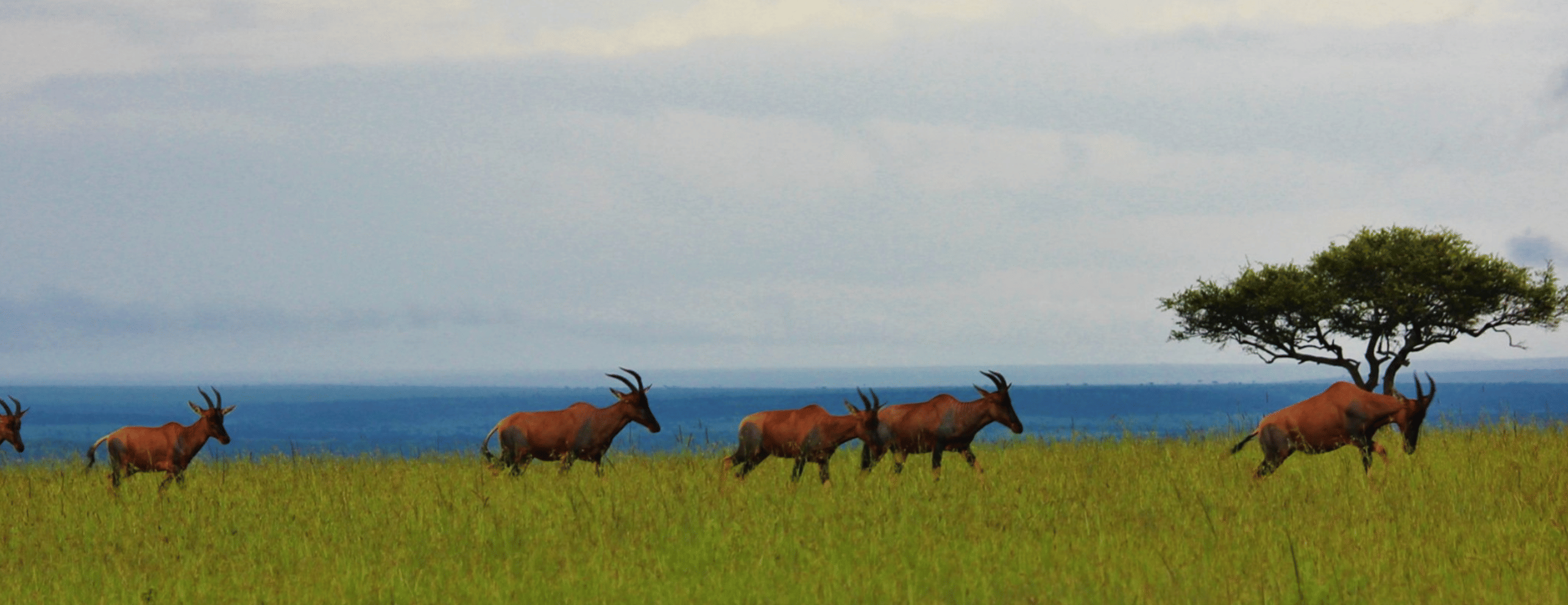 South Africa Tour Packages from Srinagar