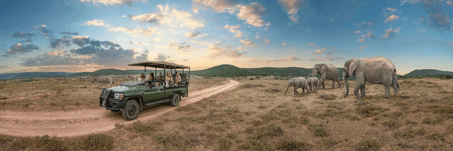 Wildlife Tours