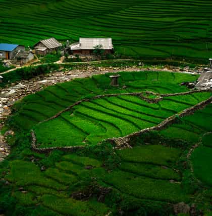 Sapa Packages from Hyderabad