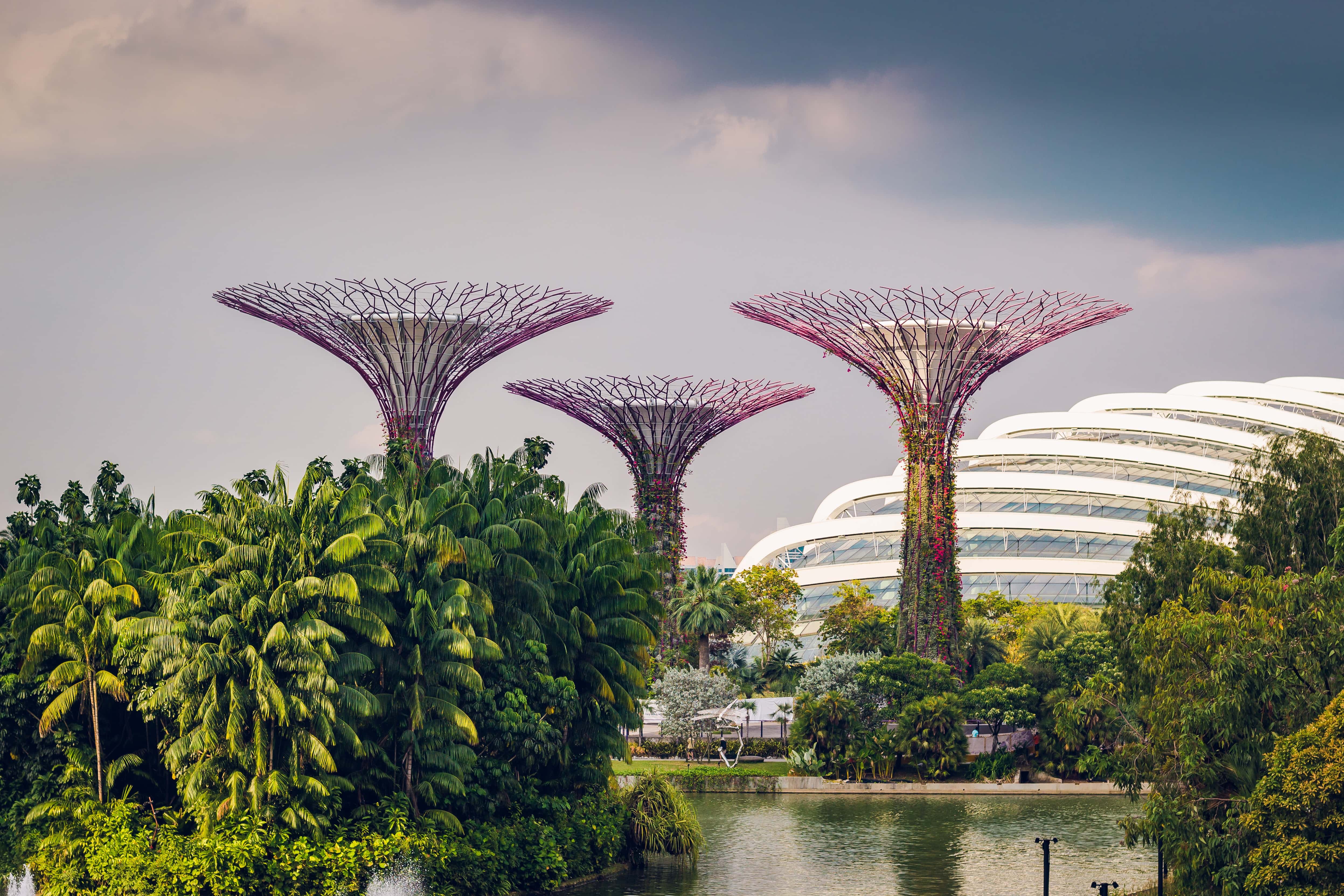 Singapore Tour Packages from Trichy