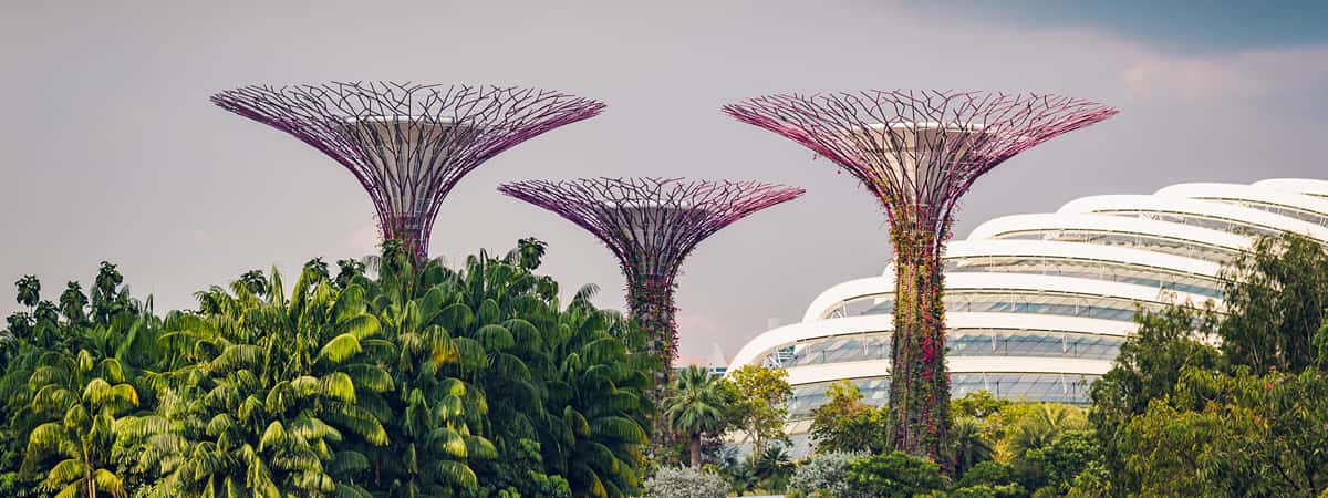 Chandigarh to Singapore package