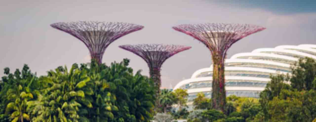 Singapore Tour Packages from Trichy