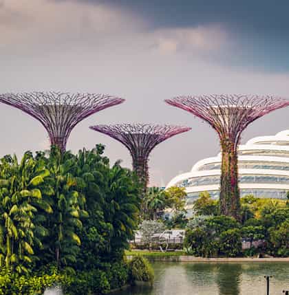 Trichy to Singapore packages