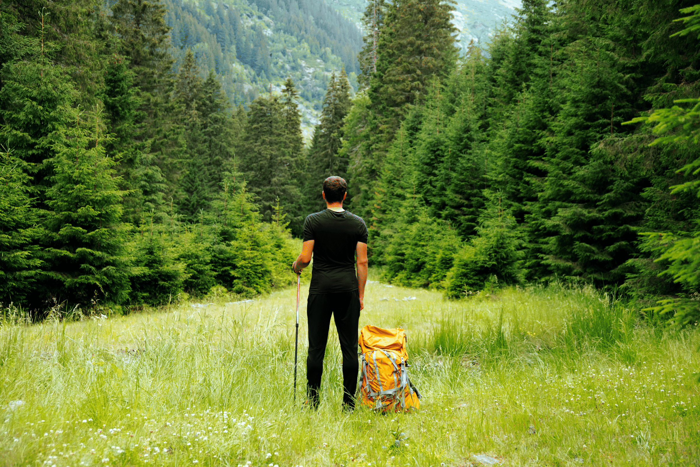 Solo Travel Packages