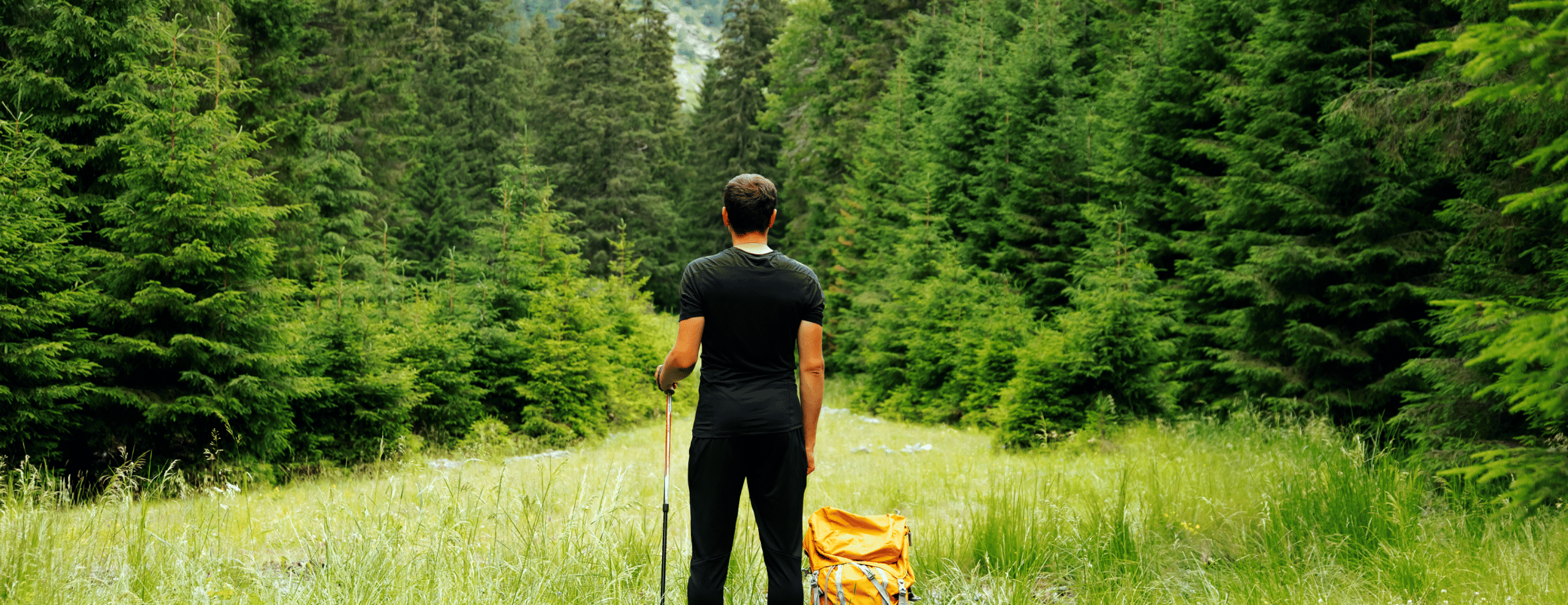 Solo Travel Packages