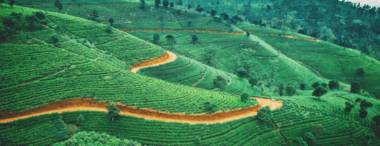 Sri Lanka Tour Packages from Bhubaneswar
