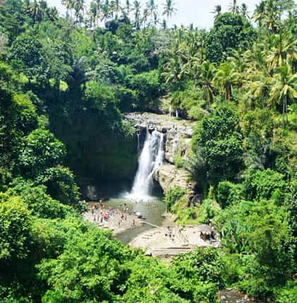 Sukawati Tour Packages