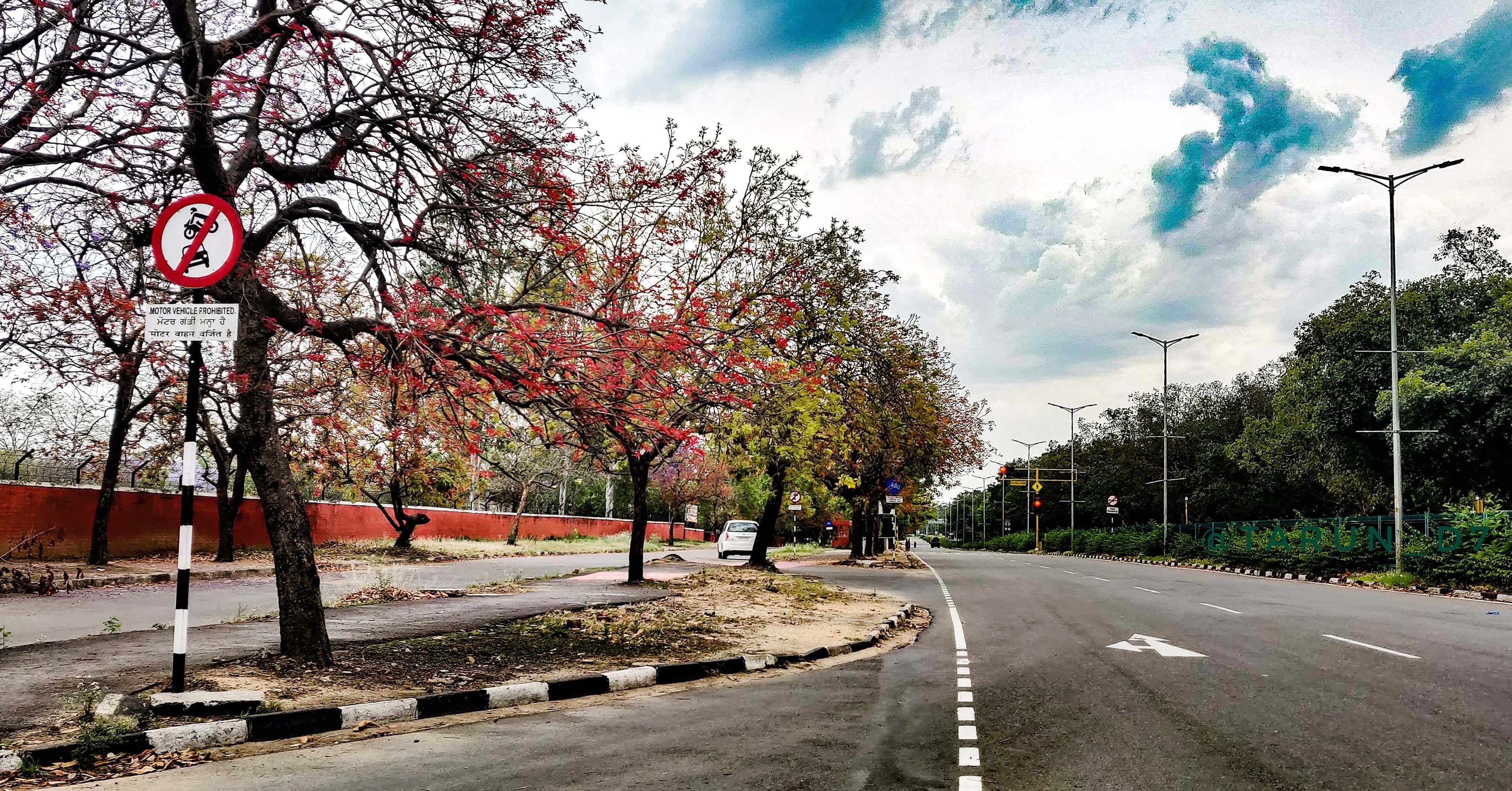 International Travel Packages From Chandigarh