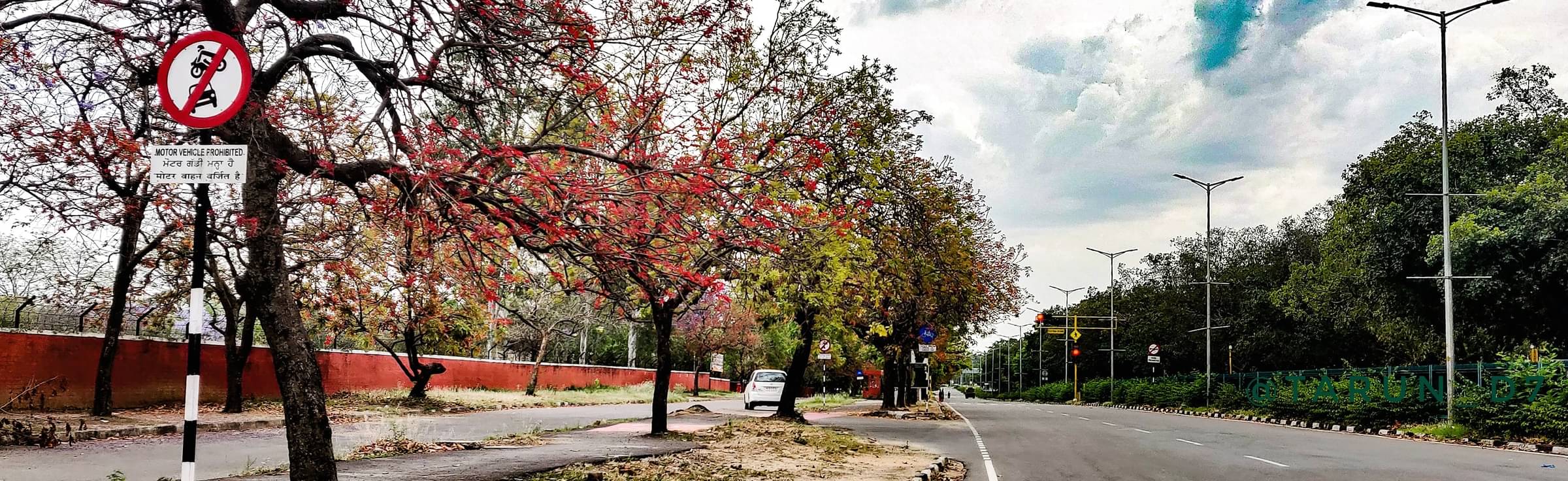 International Tour Packages From Chandigarh