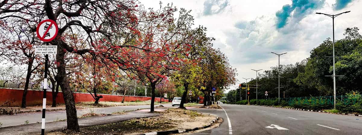International Travel Packages From Chandigarh