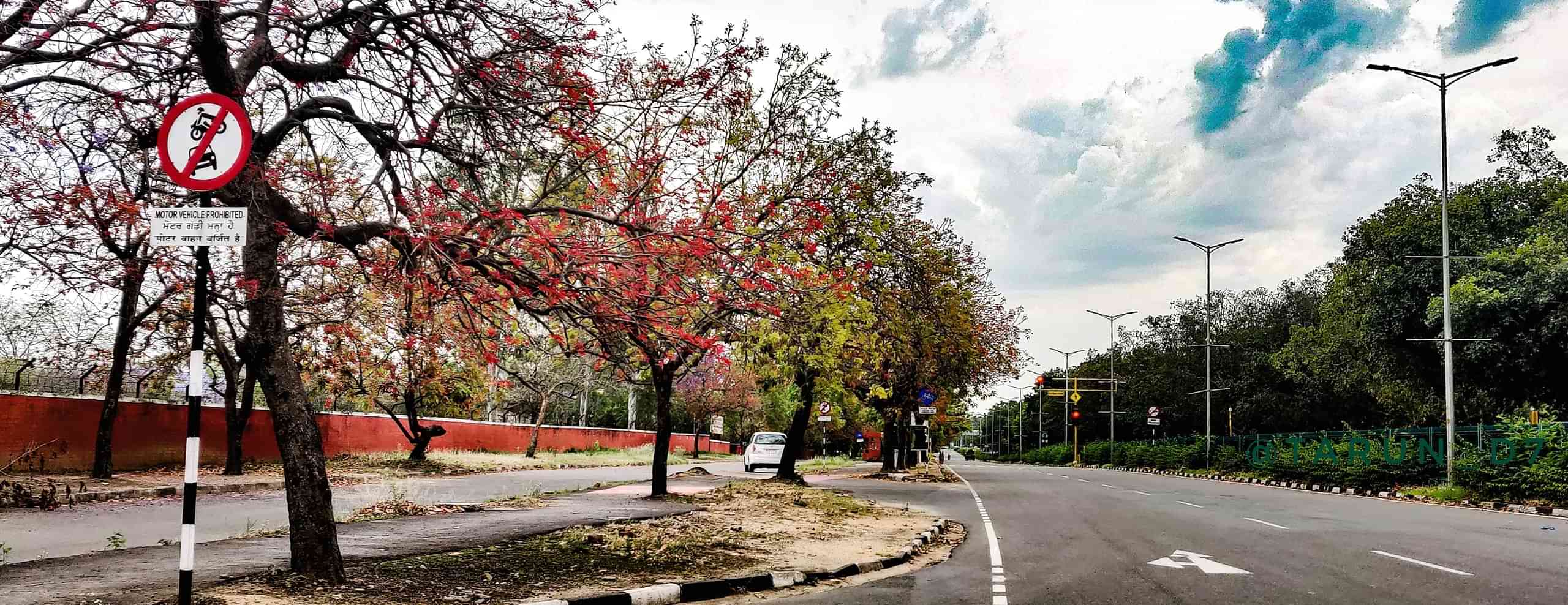 International Tour Packages From Chandigarh