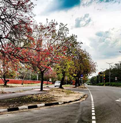 International Travel Packages From Chandigarh