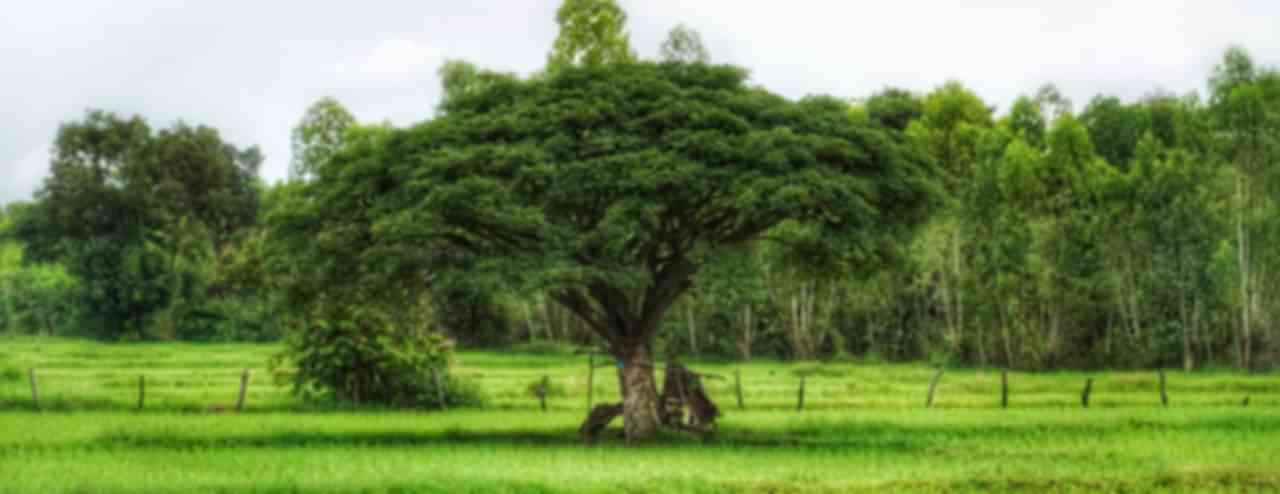 Udon Thani Tour Packages
