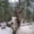 sunil m