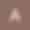 Anitha profile