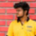 Balakrishnan V