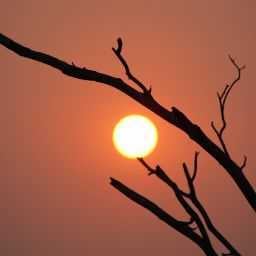 Rohith K-Profile