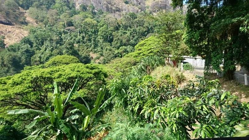 Vijay Ram-testimonial-0