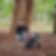 Madhava S R-Profile