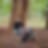 Madhava S R-Profile