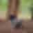 Madhava S R-Profile
