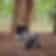 Madhava S R-Profile