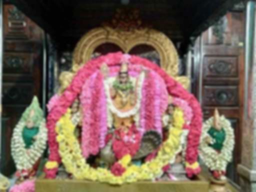 Vivekanandan Ramalingam-Profile