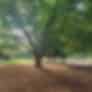 Brindha Rao-testimonial-1