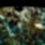 Saransh Agrawal-testimonial-1