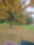 Deepak Patidar-testimonial-1