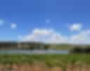 Mark Dourado-testimonial-0