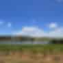 Mark Dourado-testimonial-0