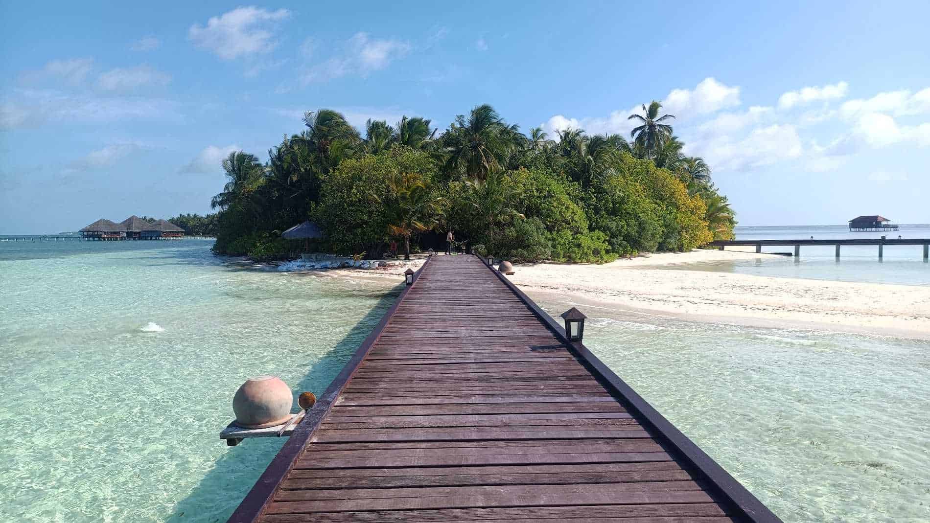 rahul jangra-testimonial-0