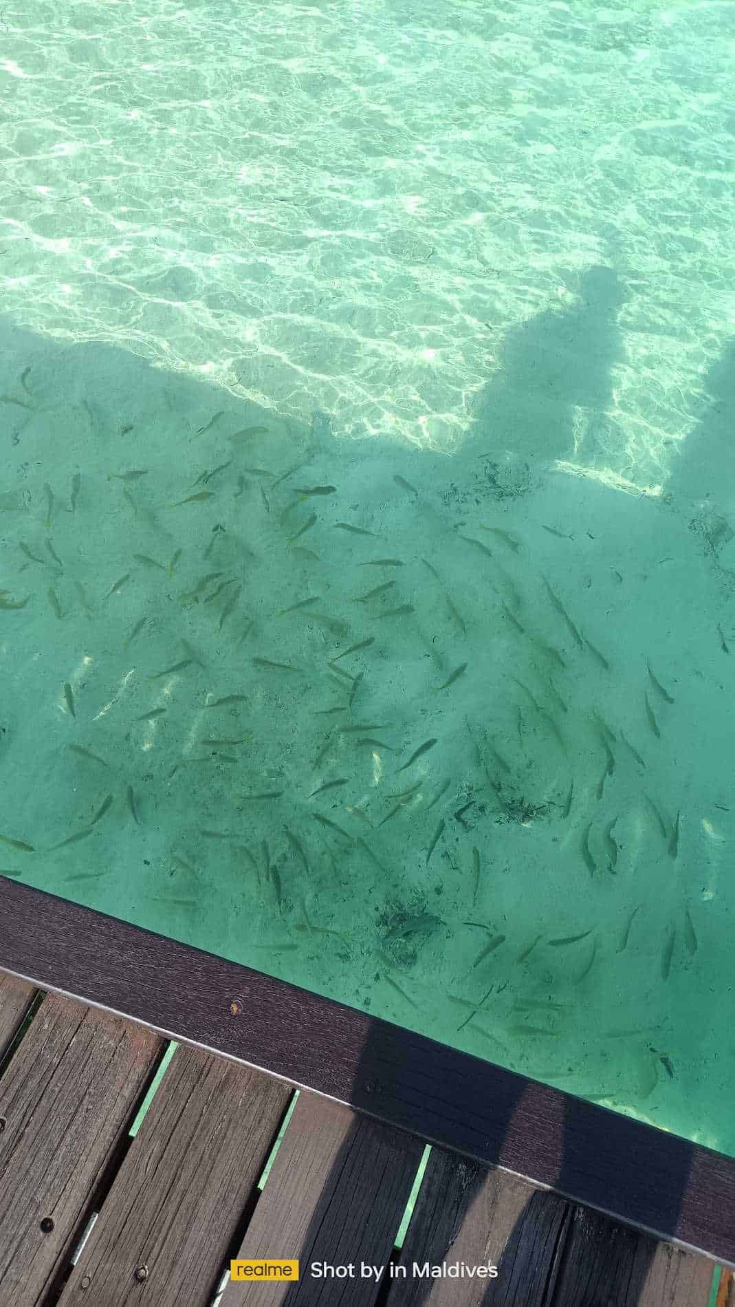 rahul jangra-testimonial-1