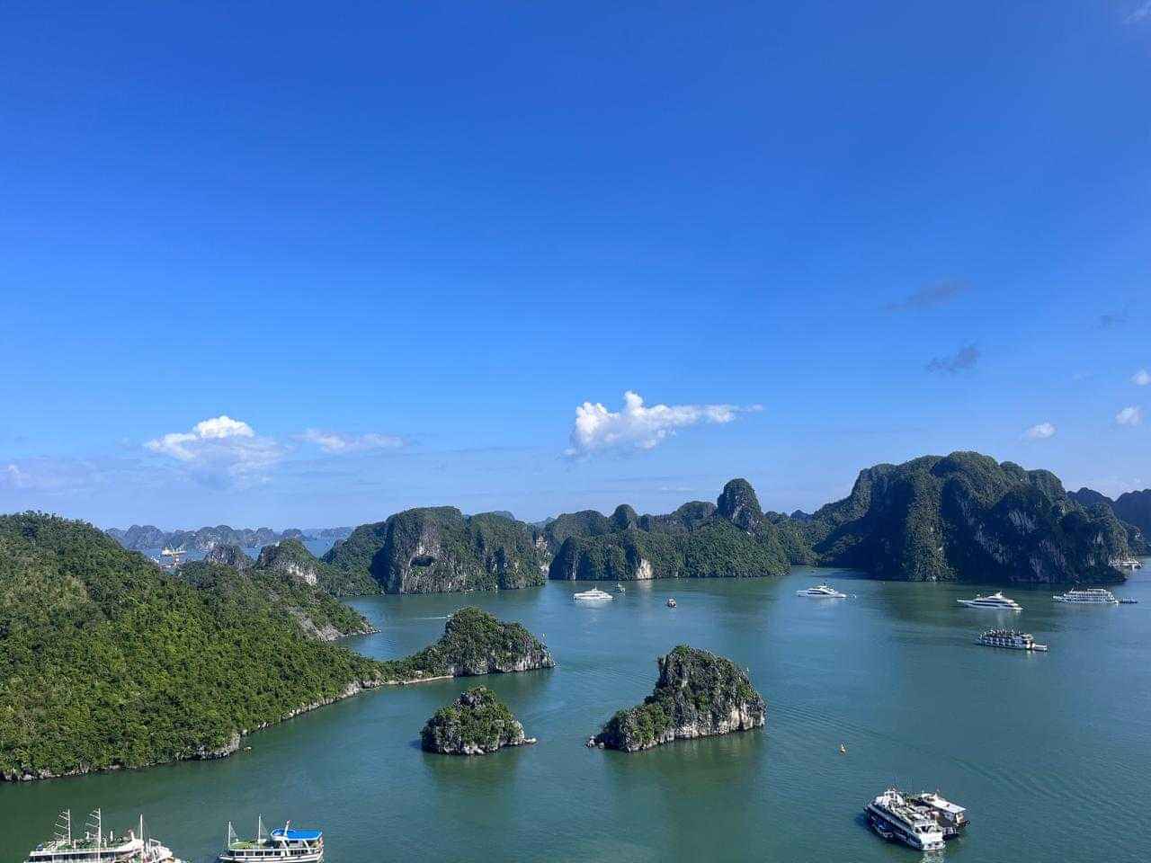 BHASKAR JHA-testimonial-0