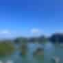 Bhaskar Jha-testimonial-0