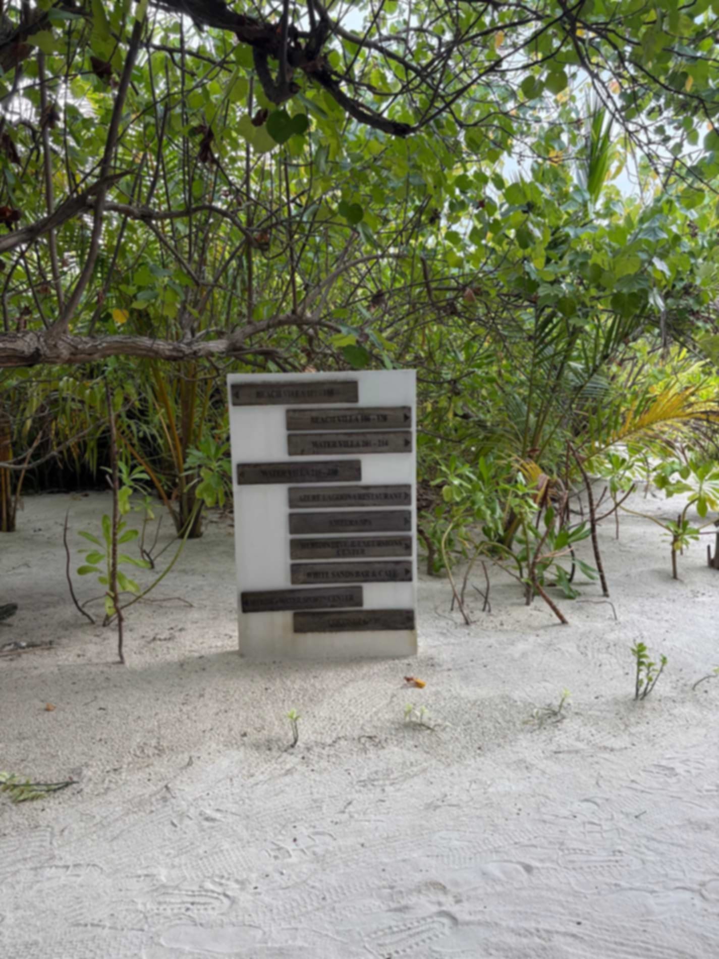 Mayandi Sg-testimonial-1