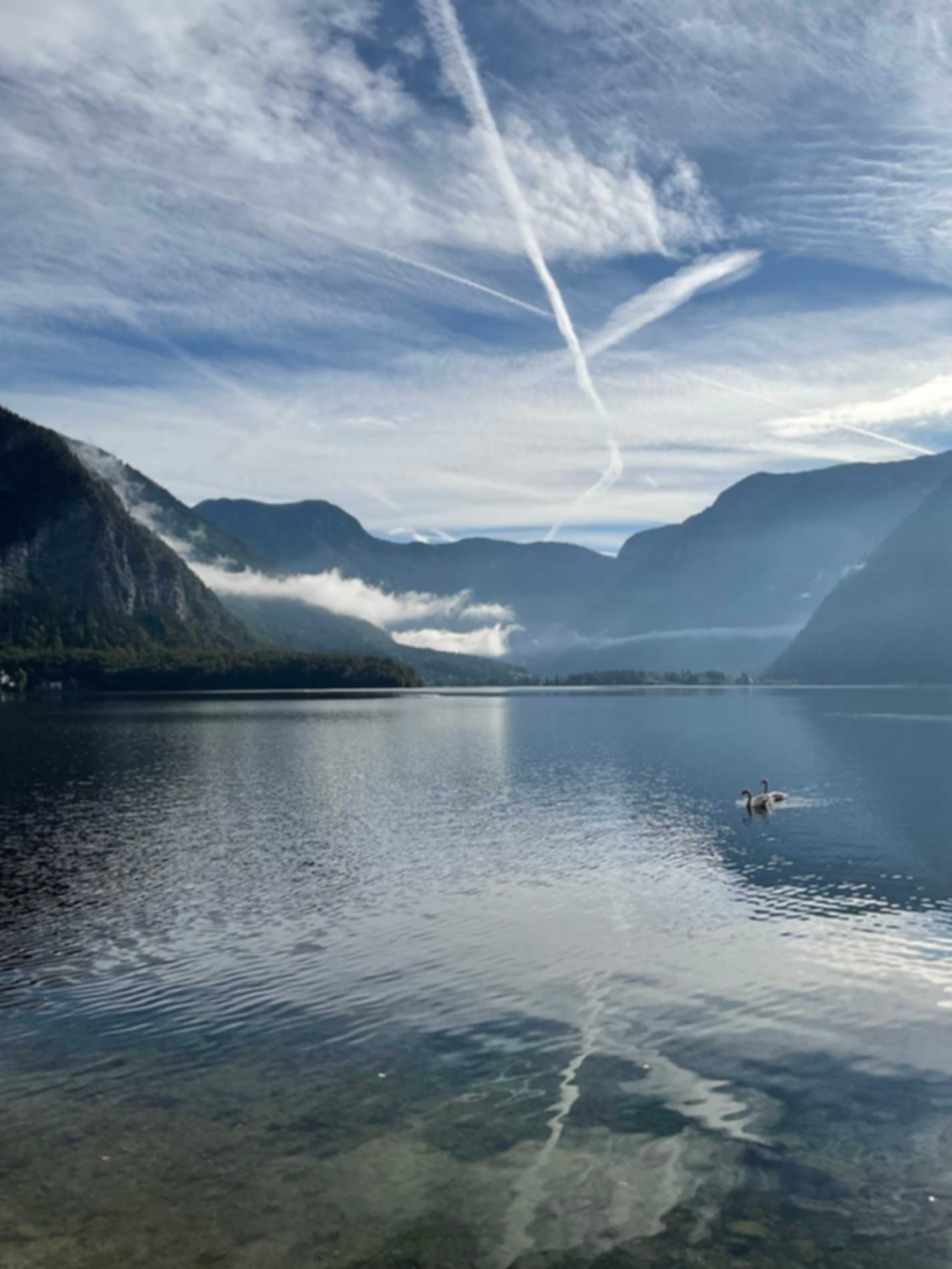 Livingston Emmanuel-testimonial-0