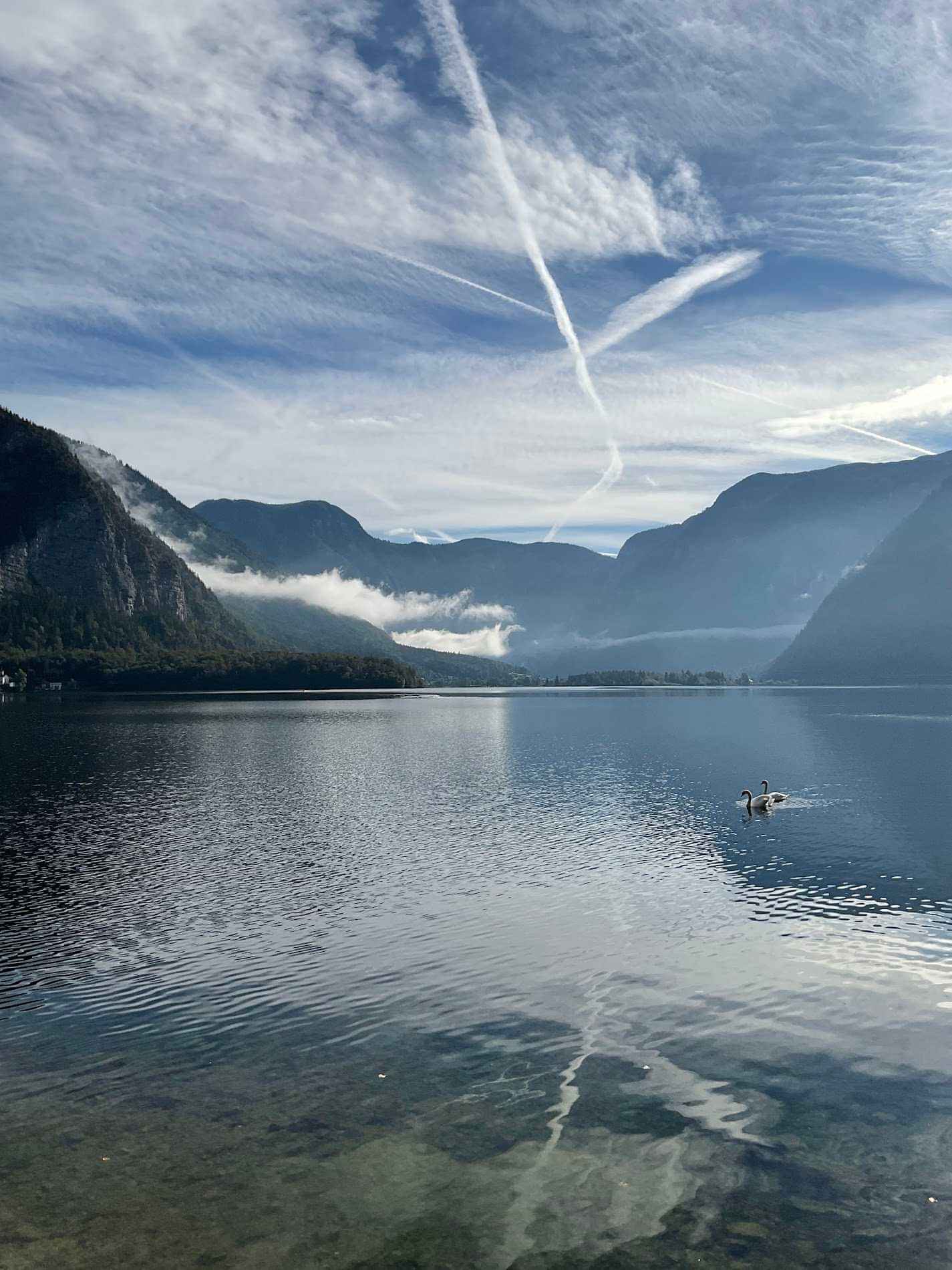 Livingston Emmanuel-testimonial-0