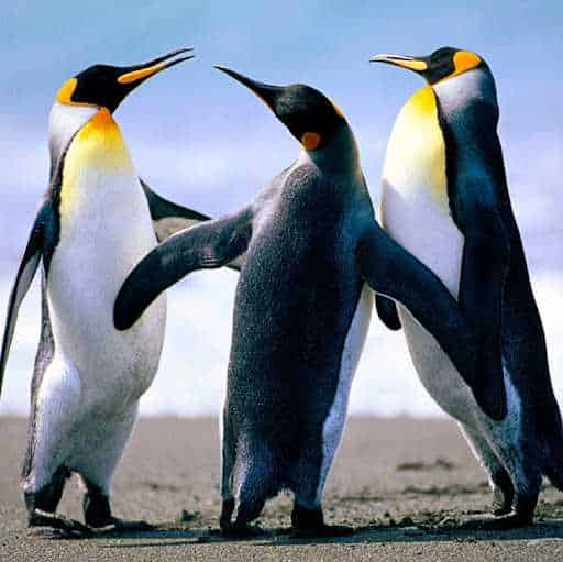 Saranya Mohan-Profile