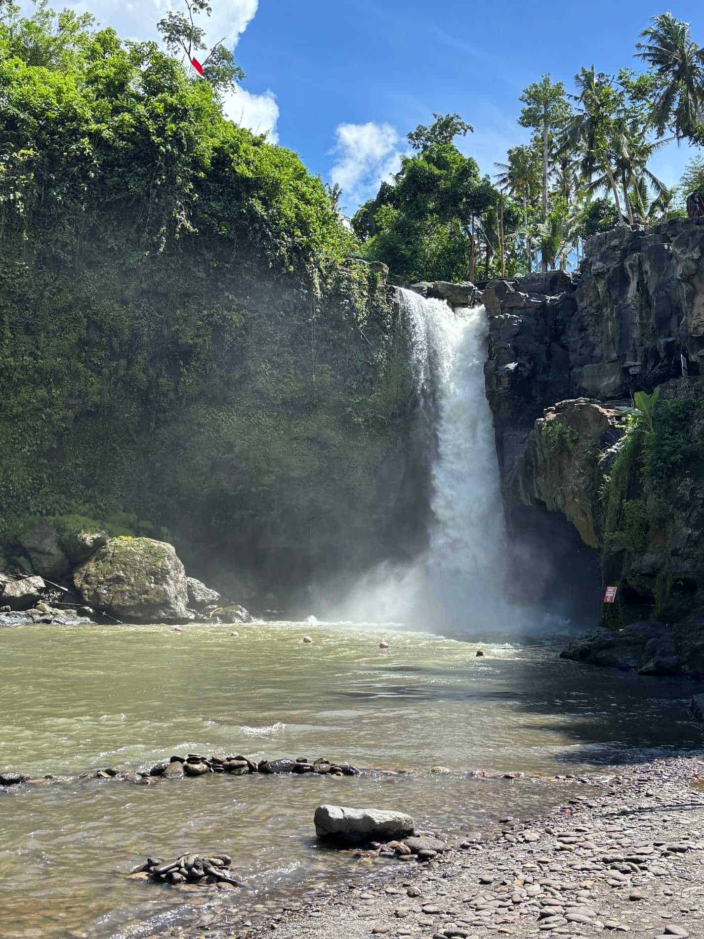 Sudha Suraj-testimonial-0