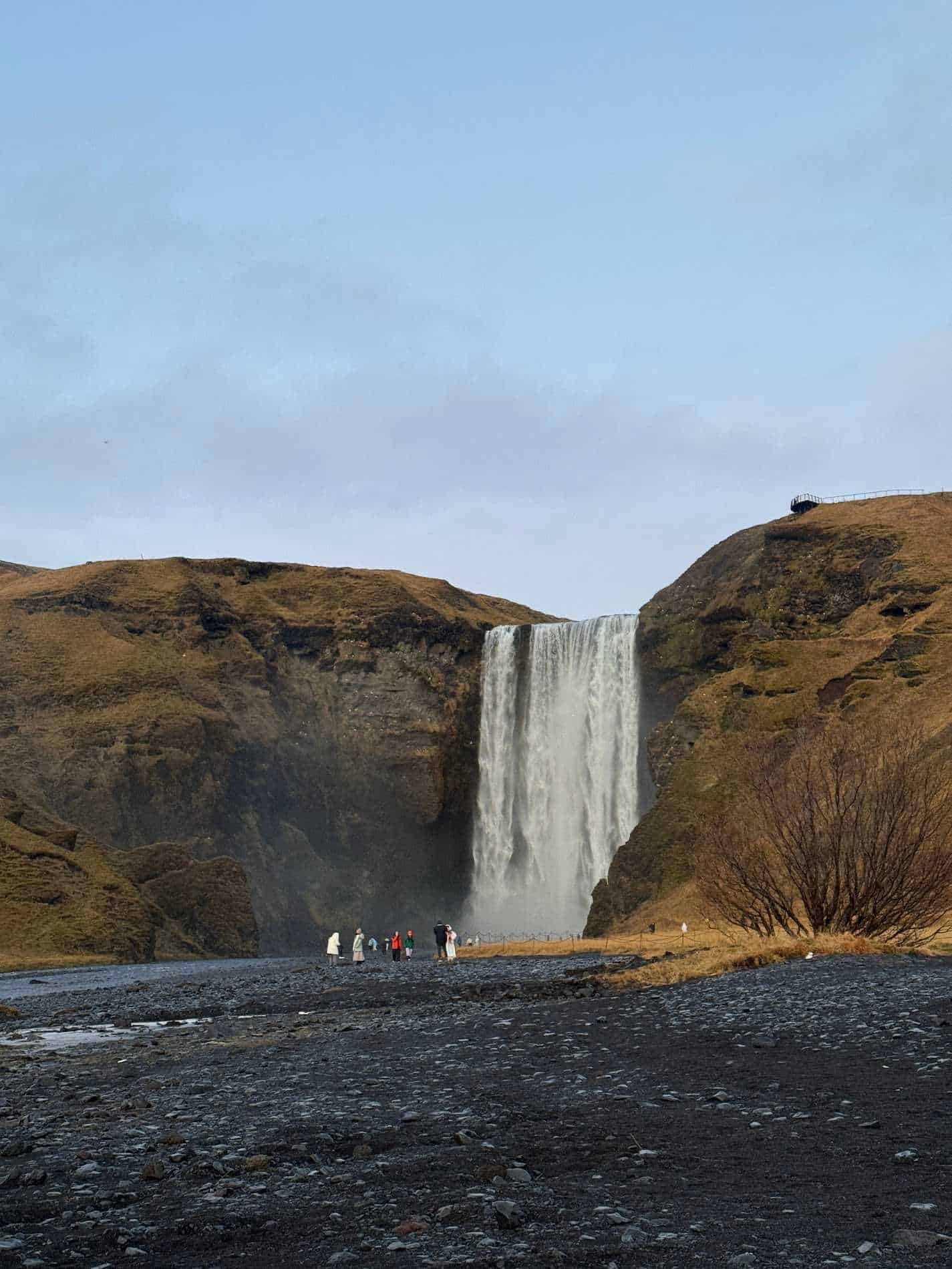 jyothi choudhary-testimonial-2