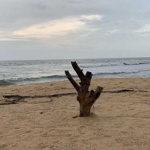 Madhusudan Singh-Profile