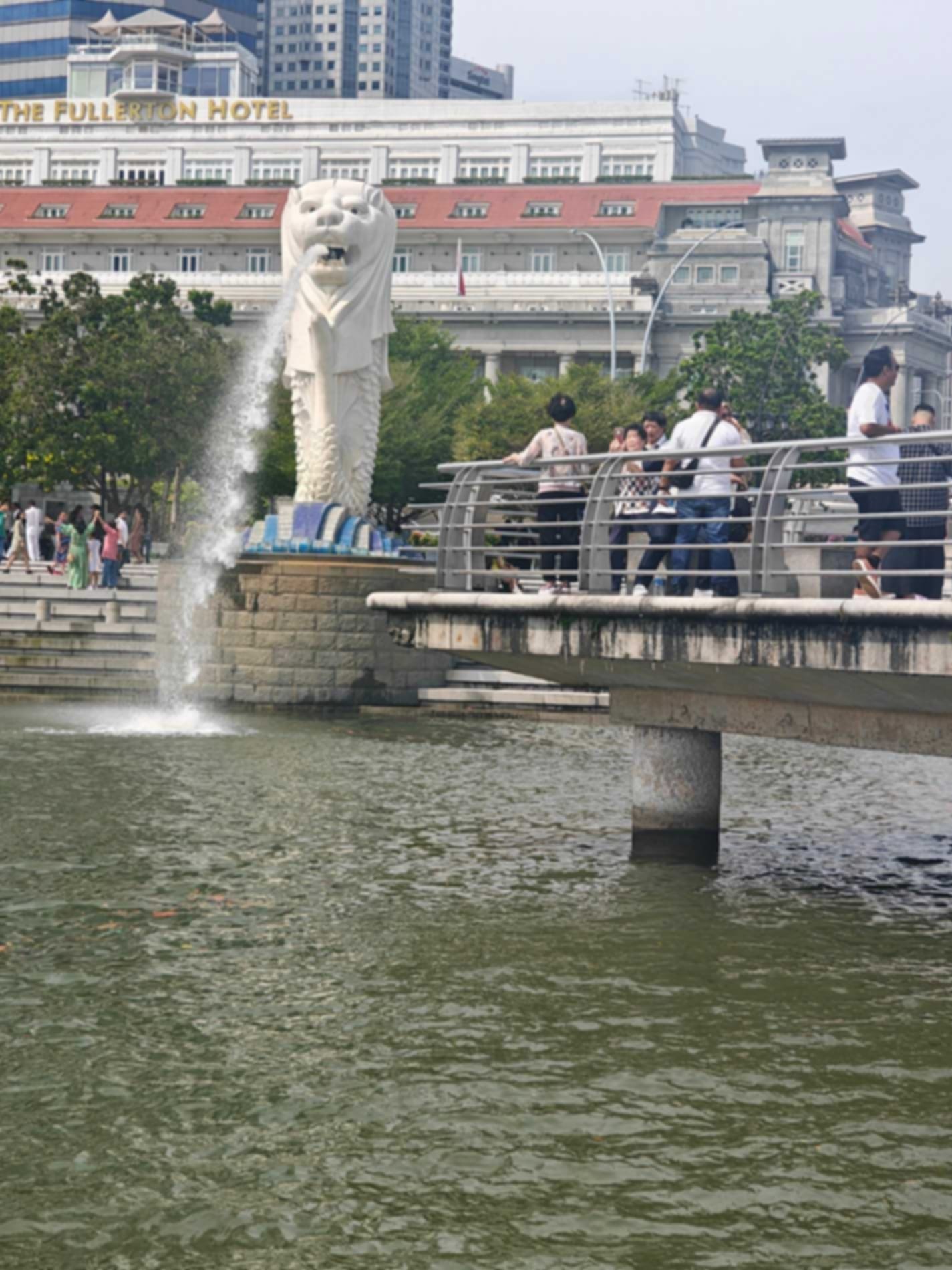 Monica R-testimonial-1