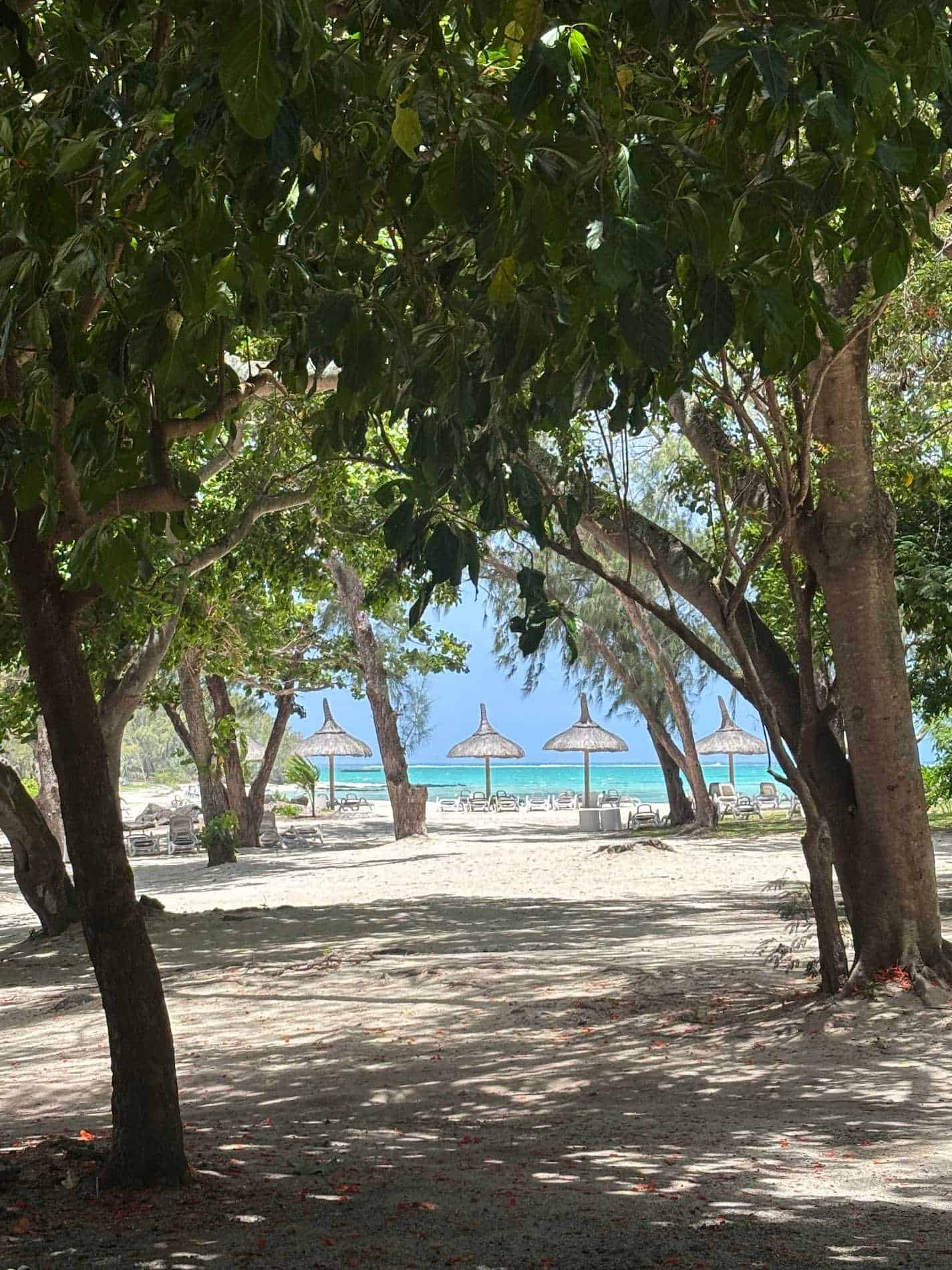 Nandhu Mohandas-testimonial-2