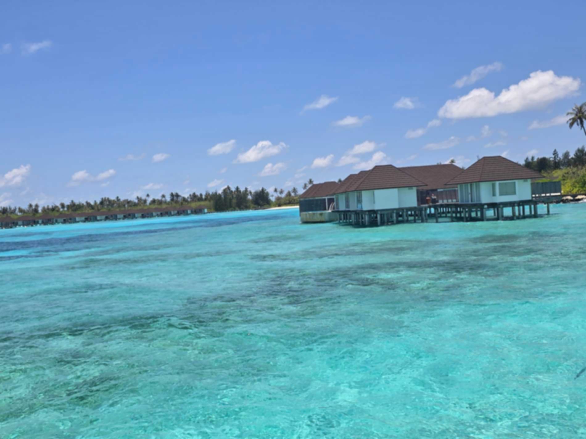 Amey Patade-testimonial-0