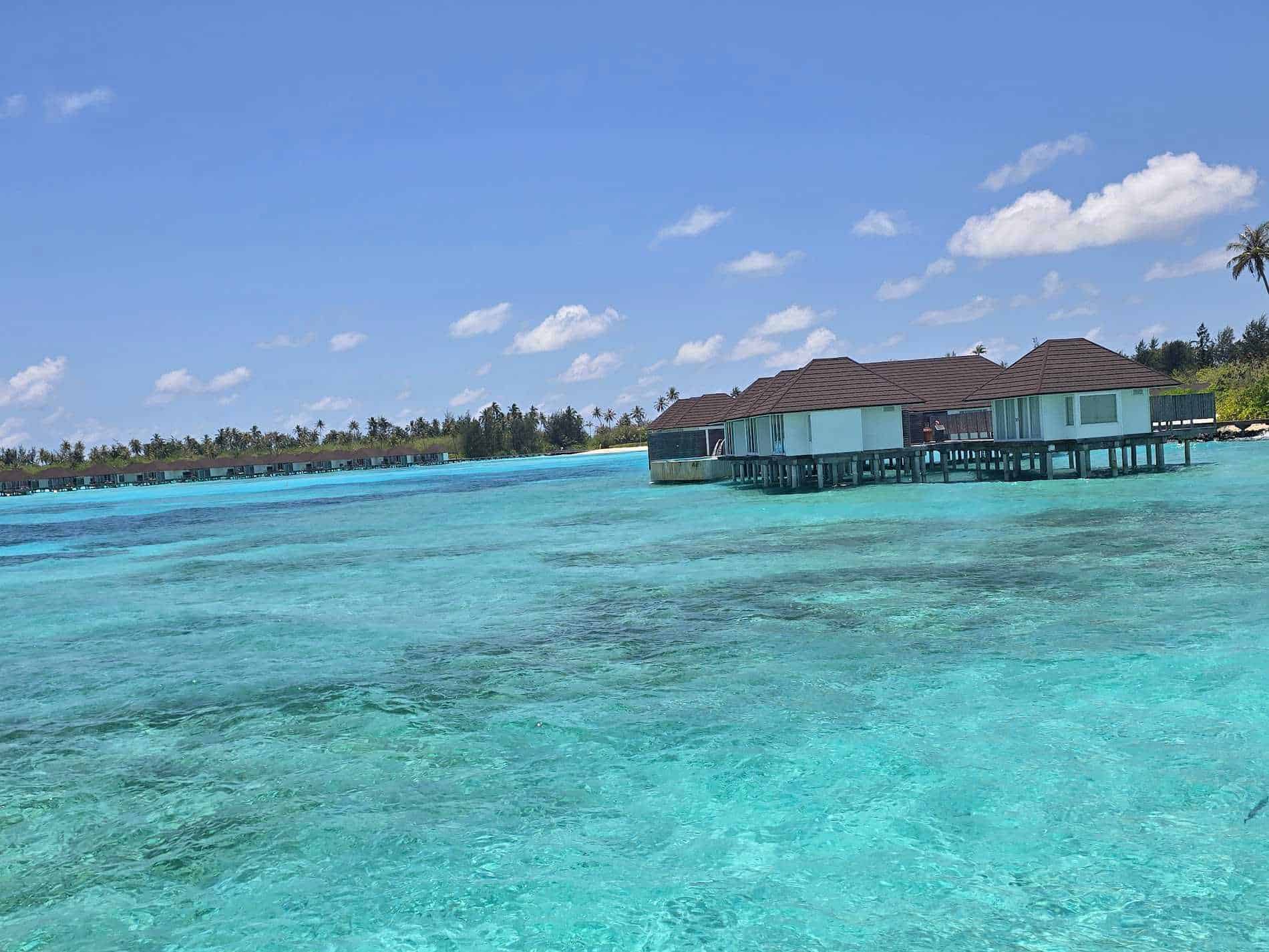 Amey Patade-testimonial-0