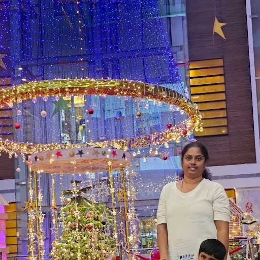 Sathya Mohan-Profile